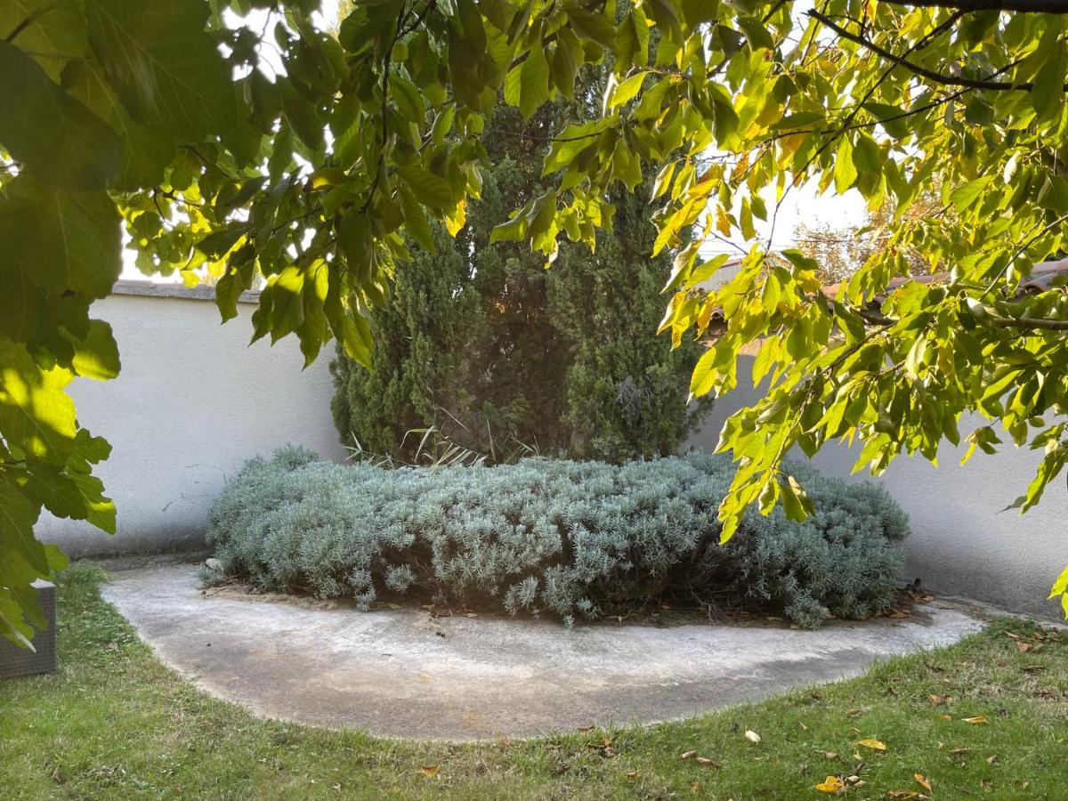 Studio Les Petits Lutins Entraigues-sur-la-Sorgue Екстериор снимка